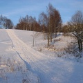 IMG 0367
