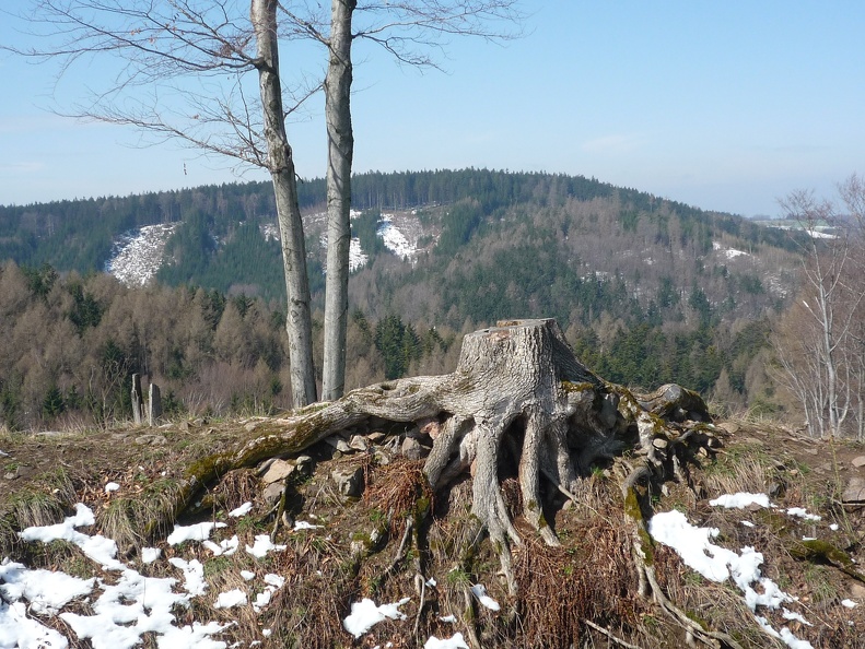 p1010272.jpg