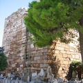 IMG 4791