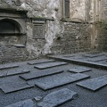 IMG 9218