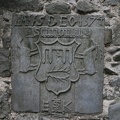 IMG 9231