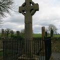 IMG 8876