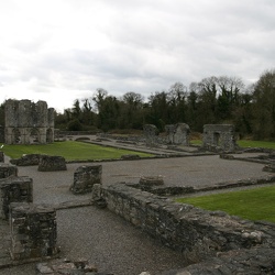 Mellifont Abbey