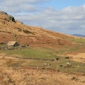 IMG 8980