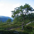 IMG 5925