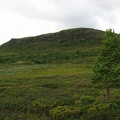 IMG 6081