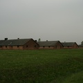 IMG 2785