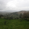 IMG 5623
