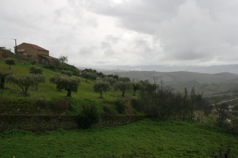IMG_5624.JPG