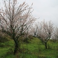 IMG 5630