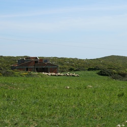 Azóia