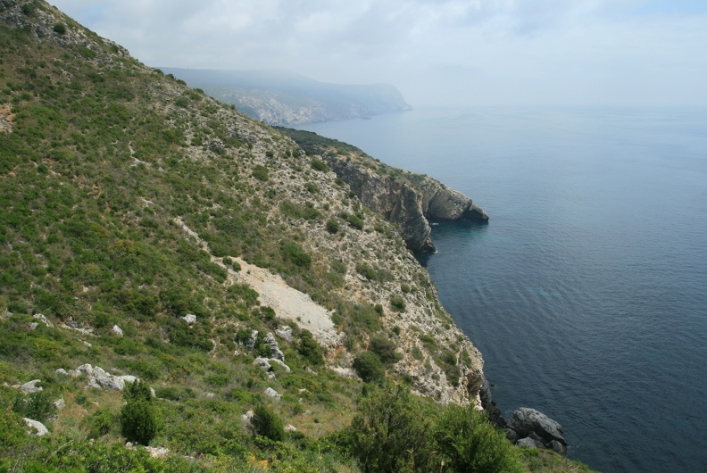 IMG_9768.jpg