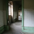 IMG 4725