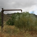IMG 4731