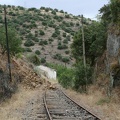IMG 4742