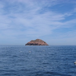Berlenga
