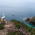 IMG 7753