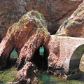 IMG 7784