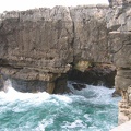 IMG 0801