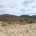 IMG 7410