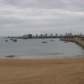 IMG 0789