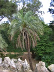 IMG 0827r