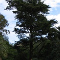 IMG 0828r