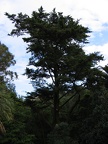 IMG 0828r