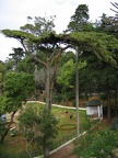 IMG 0829r