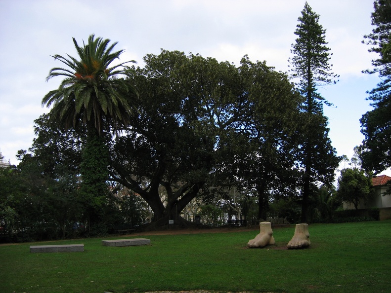 IMG 0831