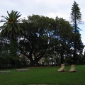 IMG 0831
