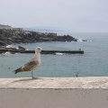 IMG 7648