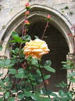 IMG 7084r