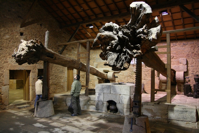 IMG 0401