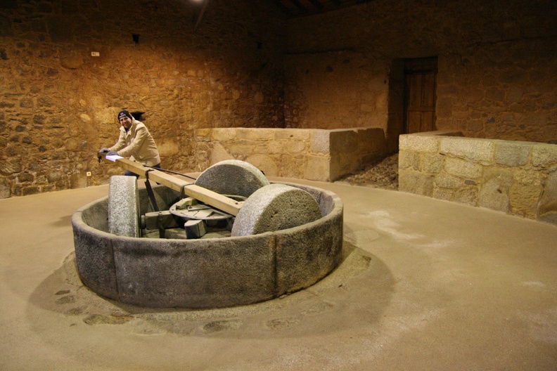 IMG 0403