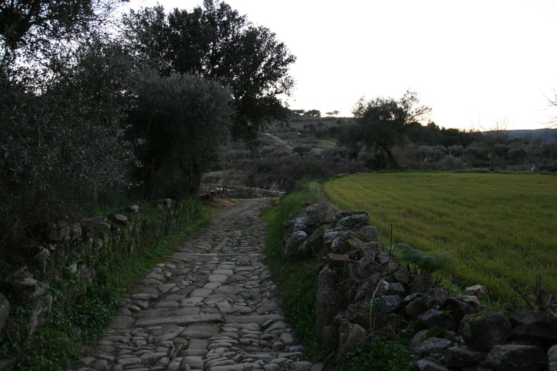 IMG 0416