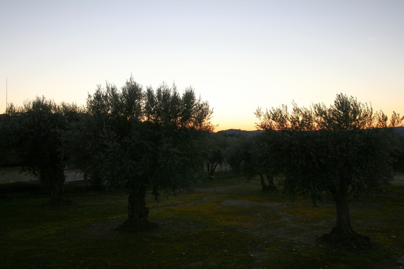 IMG 0422