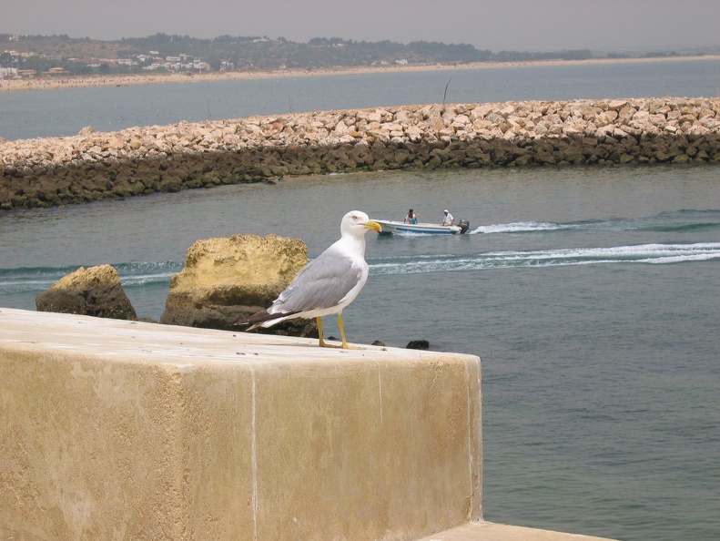 IMG_4117.jpg