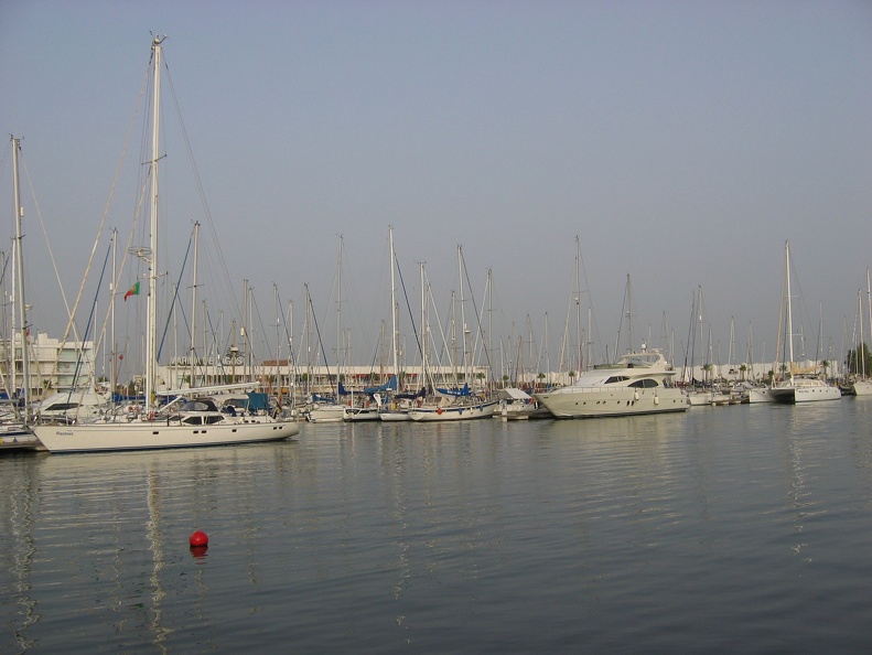 IMG_4144.jpg