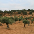 IMG 5556