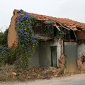 IMG 5564