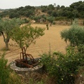 IMG 5576