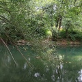 IMG 5686