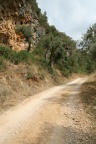 IMG 5866
