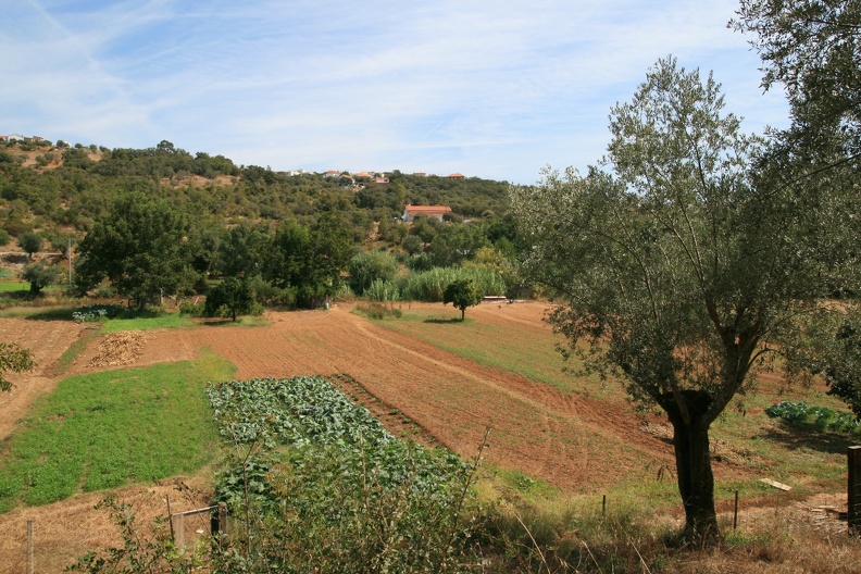 IMG 7567