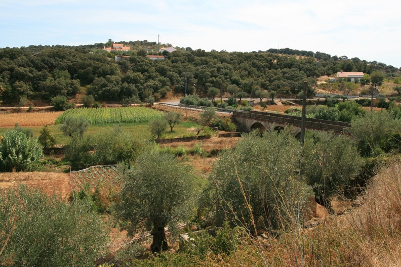 IMG 7569