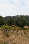 IMG 7571
