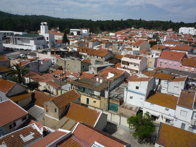 P1000365