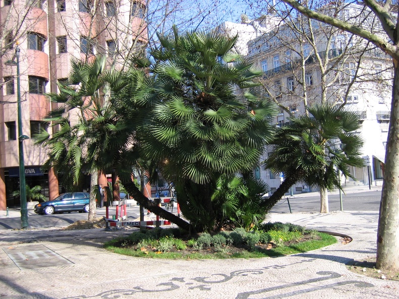 IMG 0671