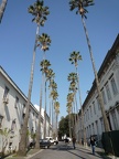 P1000311